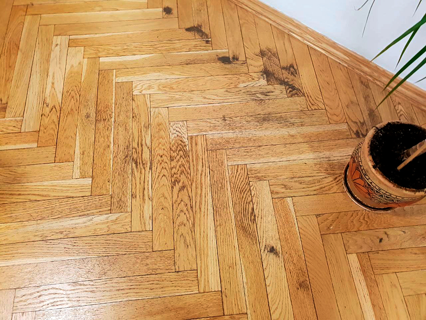 El resultat de la badia pot ser l’aparició de floridura i floridura, així com un canvi en el color del revestiment. El resultat de la badia pot ser l’aparició de floridura i floridura, així com un canvi en el color del revestiment.