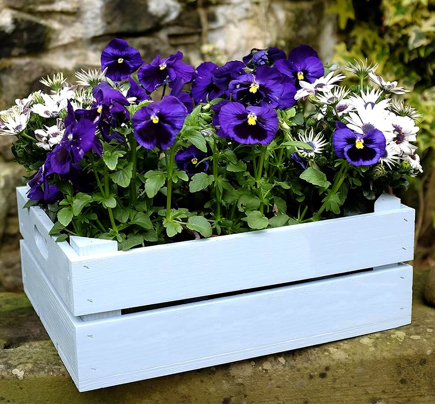 En vanlig trekasse kan lett gjøres om til en vakker blomsterpotte En vanlig trekasse kan lett gjøres om til en vakker blomsterpotte