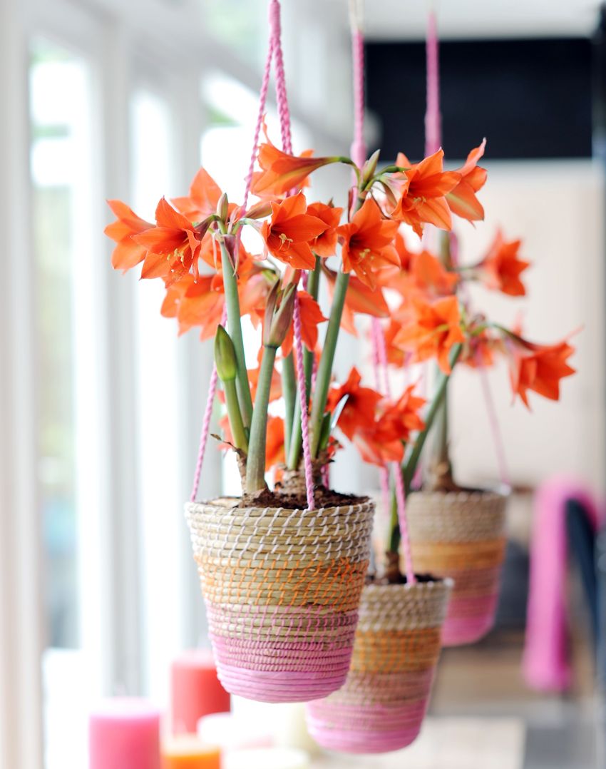 On olemassa paljon vaihtoehtoja siitä, kuinka tehdä ruukut omilla käsilläsi köydestä On olemassa paljon vaihtoehtoja siitä, kuinka tehdä ruukut omilla käsilläsi köydestä