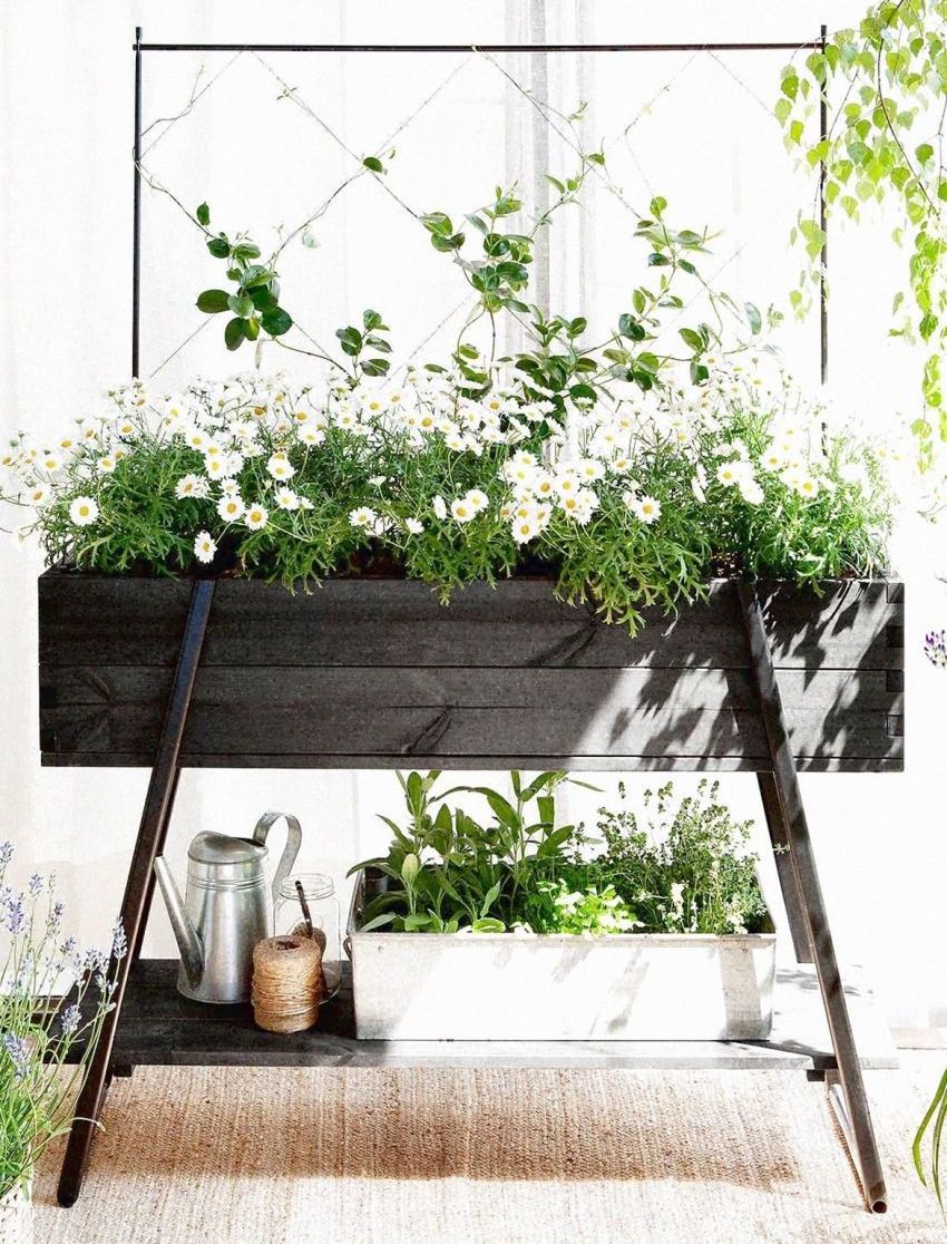 Puusta valmistetut korkean kerroksen istutuskoneet näyttävät viehättäviltä Puusta valmistetut korkean kerroksen istutuskoneet näyttävät viehättäviltä