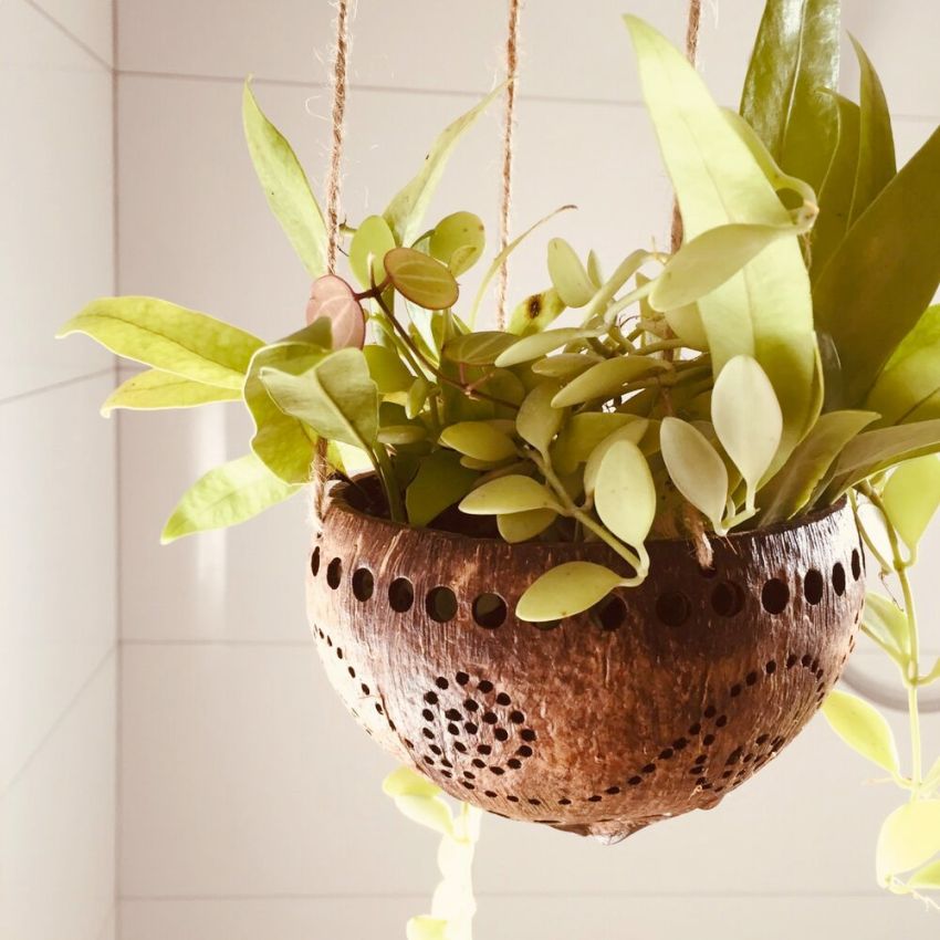 Ruukkujen ansiosta voit vihertää minkä tahansa huoneiston huoneistossa, keittiössä tai käytävällä, tärkeintä on ottaa huomioon kasvien tarpeet Ruukkujen ansiosta voit vihertää minkä tahansa huoneiston huoneistossa, keittiössä tai käytävällä, tärkeintä on ottaa huomioon kasvien tarpeet