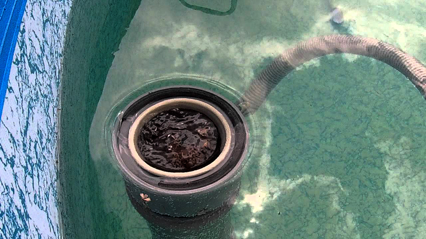 For produksjon av en skimmer trenger du et hus, et tetningsmateriale, en beholder for kjemikalier For produksjon av en skimmer trenger du et hus, et tetningsmateriale, en beholder for kjemikalier