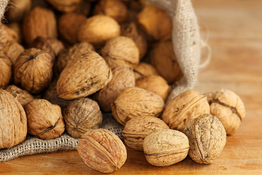 Vous pouvez obtenir différentes nuances à l'aide de coquilles de noix Vous pouvez obtenir différentes nuances à l'aide de coquilles de noix