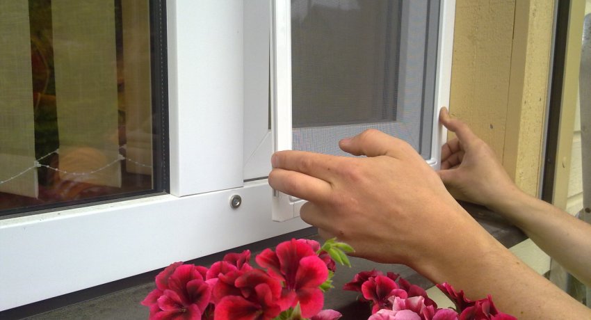 Fiecare fereastră modernă este prevăzută cu o plasă de țânțari care este concepută pentru a ține departe muștele și țânțarii Instalarea unei plase de țânțari ca cel mai bun mod de a vă proteja casa de insecte