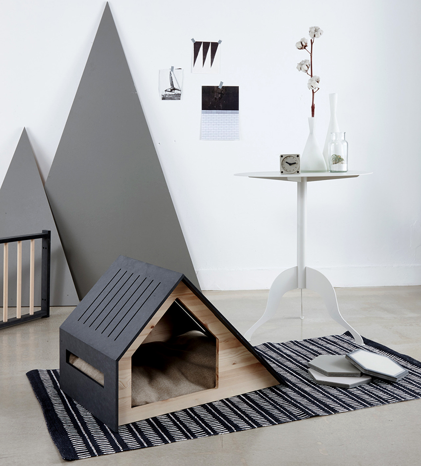 Gustung-gusto ng mga pusa ang mga liblib at maginhawang lugar kung saan makakatulog ka. Gustung-gusto ng mga pusa ang mga liblib at maginhawang lugar kung saan makakatulog ka.