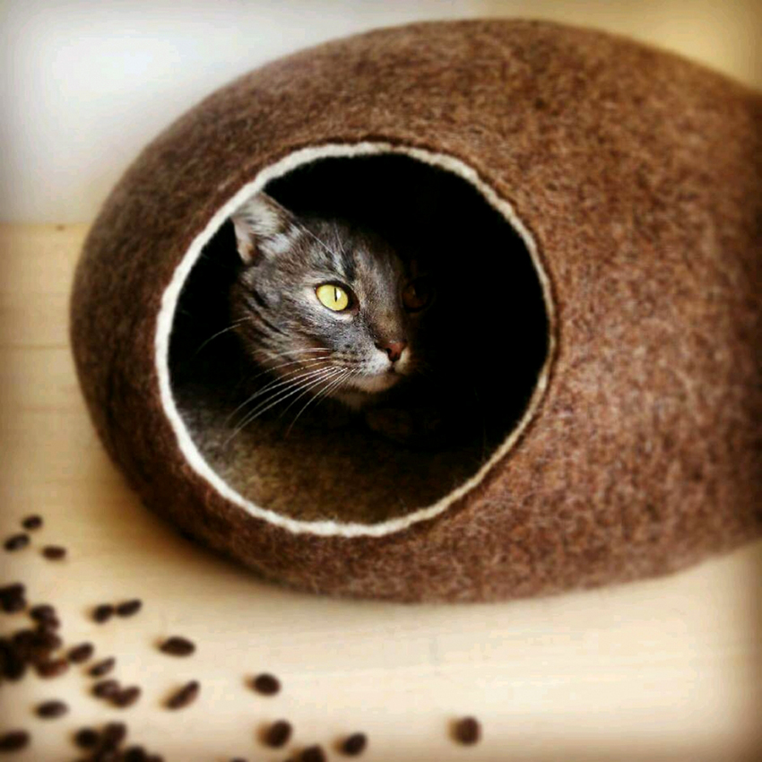 Ang bahay ay magiging isang liblib na lugar kung saan maaari mong mapanood ang lahat ng nangyayari sa bahay Ang bahay ay magiging isang liblib na lugar kung saan maaari mong mapanood ang lahat ng nangyayari sa bahay