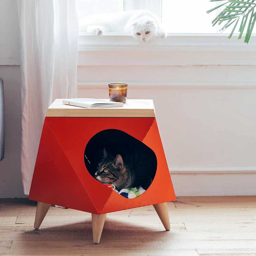 Ang mga pusa ay napakasariling mga nilalang, kaya kailangan lamang nila ng isang personal na bahay. Ang mga pusa ay napakasariling mga nilalang, kaya kailangan lamang nila ng isang personal na bahay.