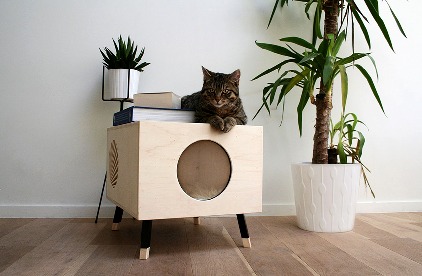 Upang makagawa ng isang bahay, kailangan mo lamang pumili ng mga likas na materyales Upang makagawa ng isang bahay, kailangan mo lamang pumili ng mga likas na materyales