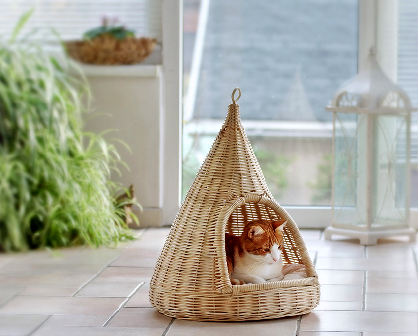 Para sa isang hayop na mahilig sa ginhawa, ang bahay ay dapat na sarado hangga't maaari Para sa isang hayop na mahilig sa ginhawa, ang bahay ay dapat na sarado hangga't maaari