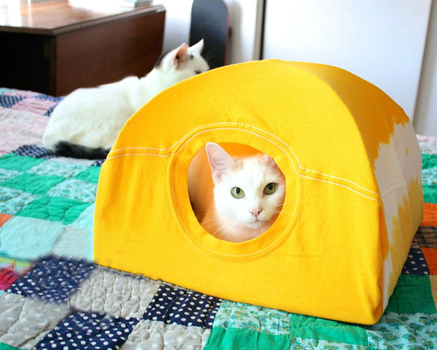 Ang isang bahay na T-shirt ay napakabilis gumawa at hindi nangangailangan ng karagdagang gastos Ang isang bahay na T-shirt ay napakabilis gumawa at hindi nangangailangan ng karagdagang gastos