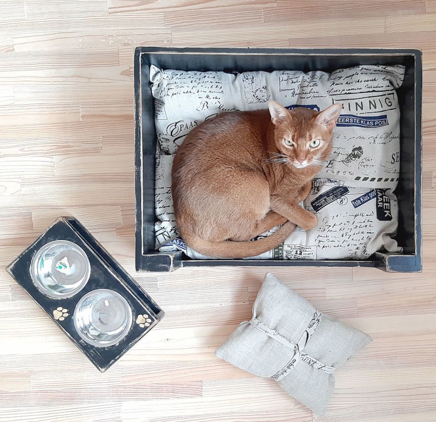 Șezlongurile cu bare de protecție sunt ușor de fabricat și nu permit animalului să cadă accidental în timpul somnului Șezlongurile cu bare de protecție sunt ușor de fabricat și nu permit animalului să cadă accidental în timpul somnului