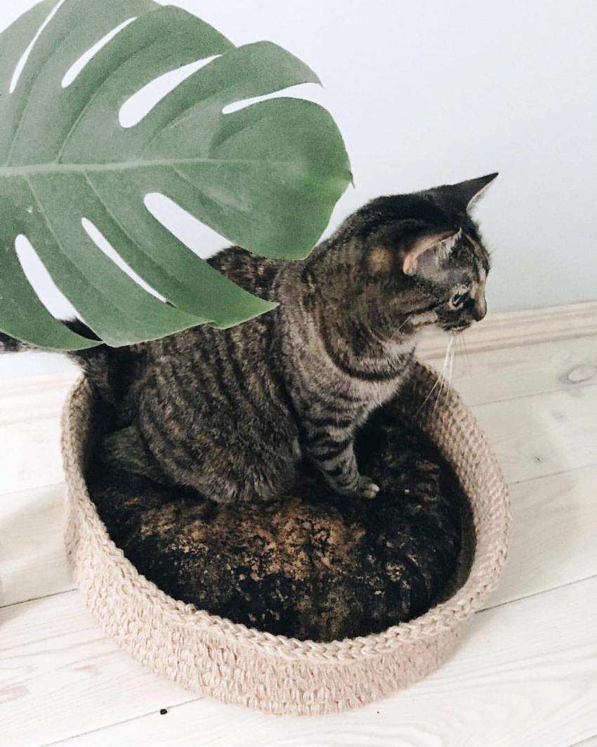 Cel mai important lucru este că este convenabil ca animalele de companie să ajungă la pat. Cel mai important lucru este că este convenabil ca animalele de companie să ajungă la pat.