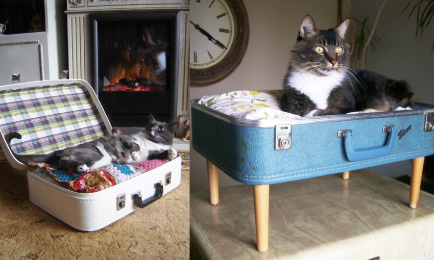 Un pat dintr-o valiză veche se va potrivi perfect în interiorul unui apartament în stil vintage sau mansardă Un pat dintr-o valiză veche se va potrivi perfect în interiorul unui apartament în stil vintage sau mansardă