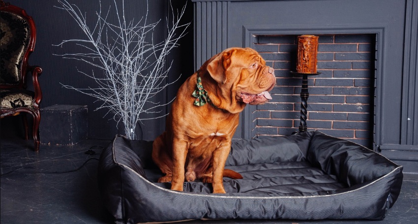 Independentemente do material da espreguiçadeira, ela deve ser limpa mensalmente em casa Independentemente do material da espreguiçadeira, ela deve ser limpa mensalmente em casa