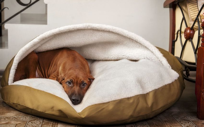 Um produto feito de tecido, há um ponto fraco dentro da casa Um produto feito de tecido, há um ponto fraco dentro da casa