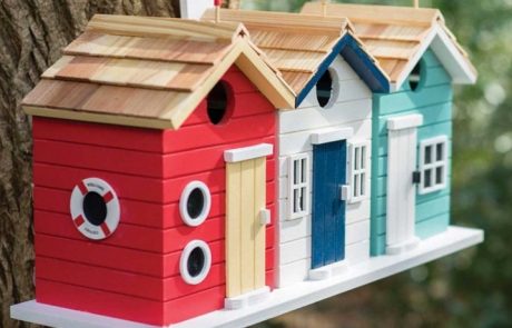 Birdhouse: ขนาดภาพวาดและคำแนะนำในการสร้างที่อยู่อาศัยของนก